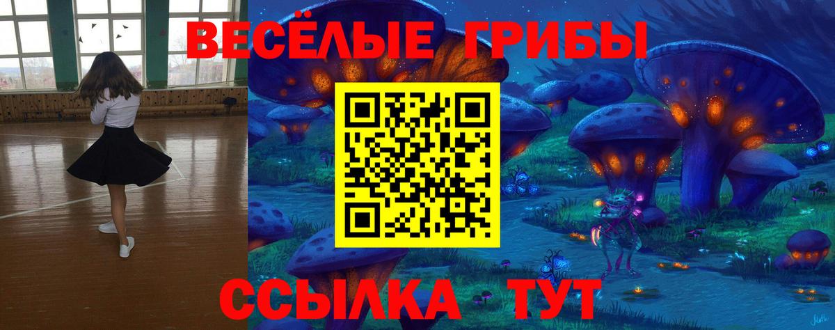 Псилоцибиновые грибы ЛСД  Вход с VPN  Галлюциногенные грибы MAGIC MUSHROOMS  Зеленодольск 